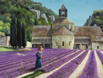 Lavendelpflücker, Abbaye Senanque, Provence